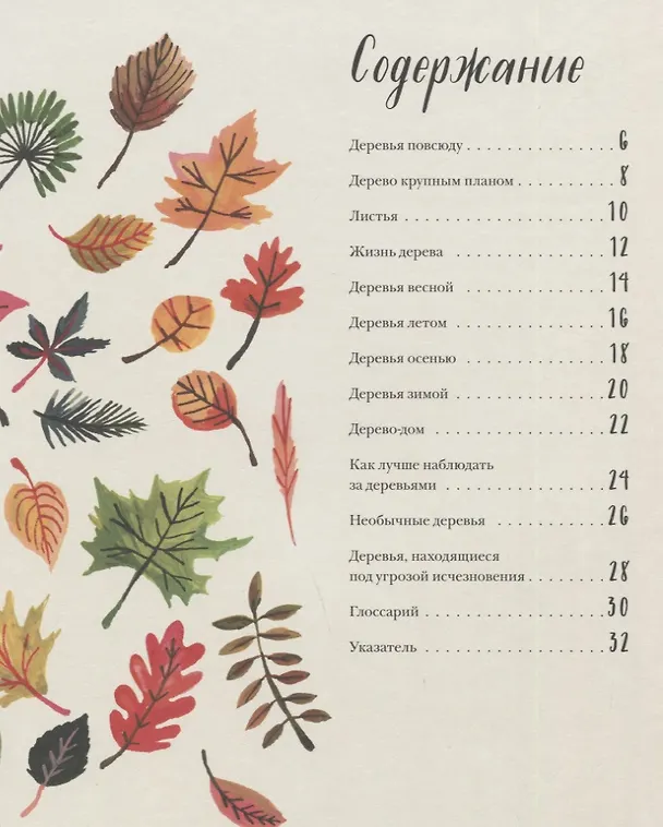 Книга Природа вокруг нас: Растения. Деревья (Памела Хикман) — 10