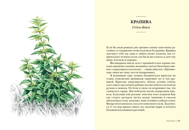 Книга Травы: Природный источник жизненной силы (Урсула Штумпф) — 7