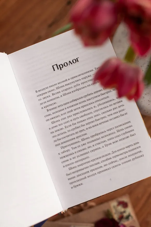 Книга Книжная деревушка в Шотландии. Весна перемен (Катарина Херцог) — 12