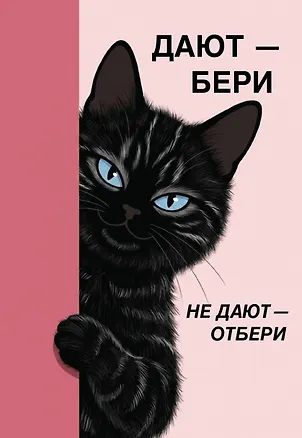 Дают - бери, не дают - отбери! Ежедневник недатированный (А5, 72 л.) 3177685