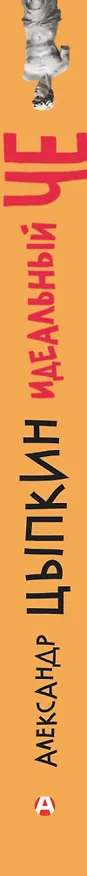 Книга Идеальный Че. Интуиция и новые беспринцыпные истории (Александр Цыпкин) — 3