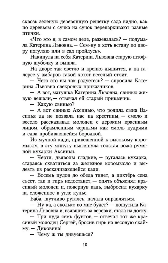 Книга Леди Макбет Мценского уезда (Николай Лесков) — 10