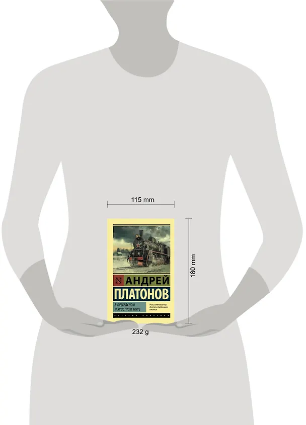 Книга В прекрасном и яростном мире (Андрей Платонов) — 4