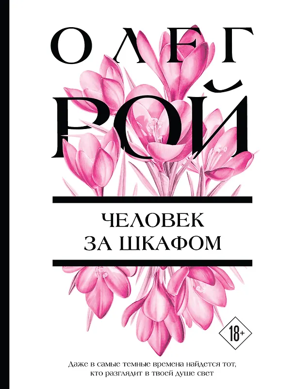 Книга Человек за шкафом (Олег Рой) — 1