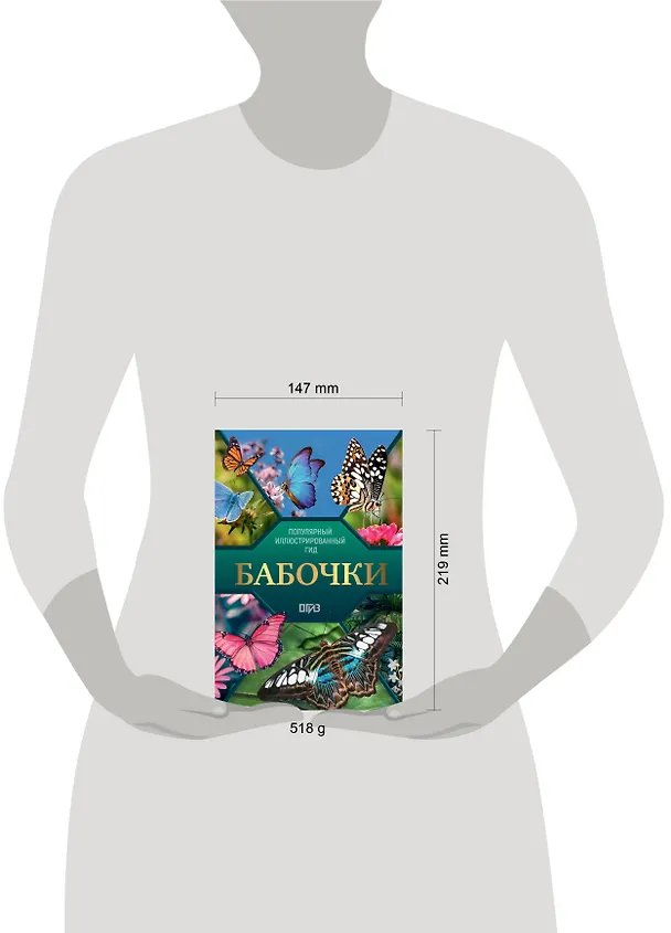 Книга Бабочки. Иллюстрированный гид (Анна Спектор) — 10