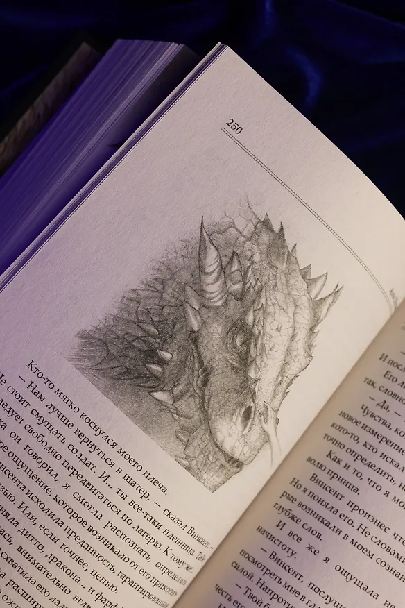Книга Сожженные земли. Павший (Анна Щучкина) — 14