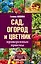 Сад, огород и цветник. Проверенные приемы — 2574508 — 1