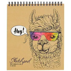 Скетчбук «Альпака в очках», 40 листов, 19.5 х 16.8 см