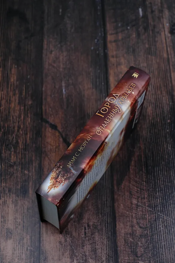 Книга Город опаленных крыльев (Лили С. Морган) — 6
