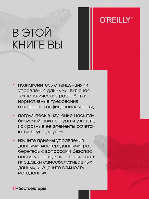 Книга Масштабируемые данные. Лучшие шаблоны высоконагруженных архитектур (Питхейн Стренгхольт) — 4