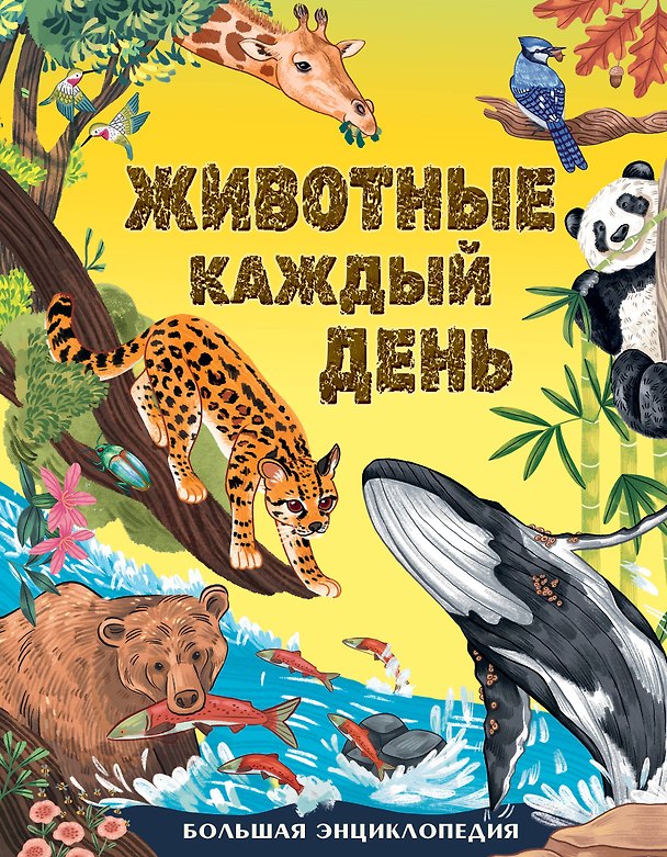 Книга Животные каждый день. Большая энциклопедия (Миранда Смит) — 1