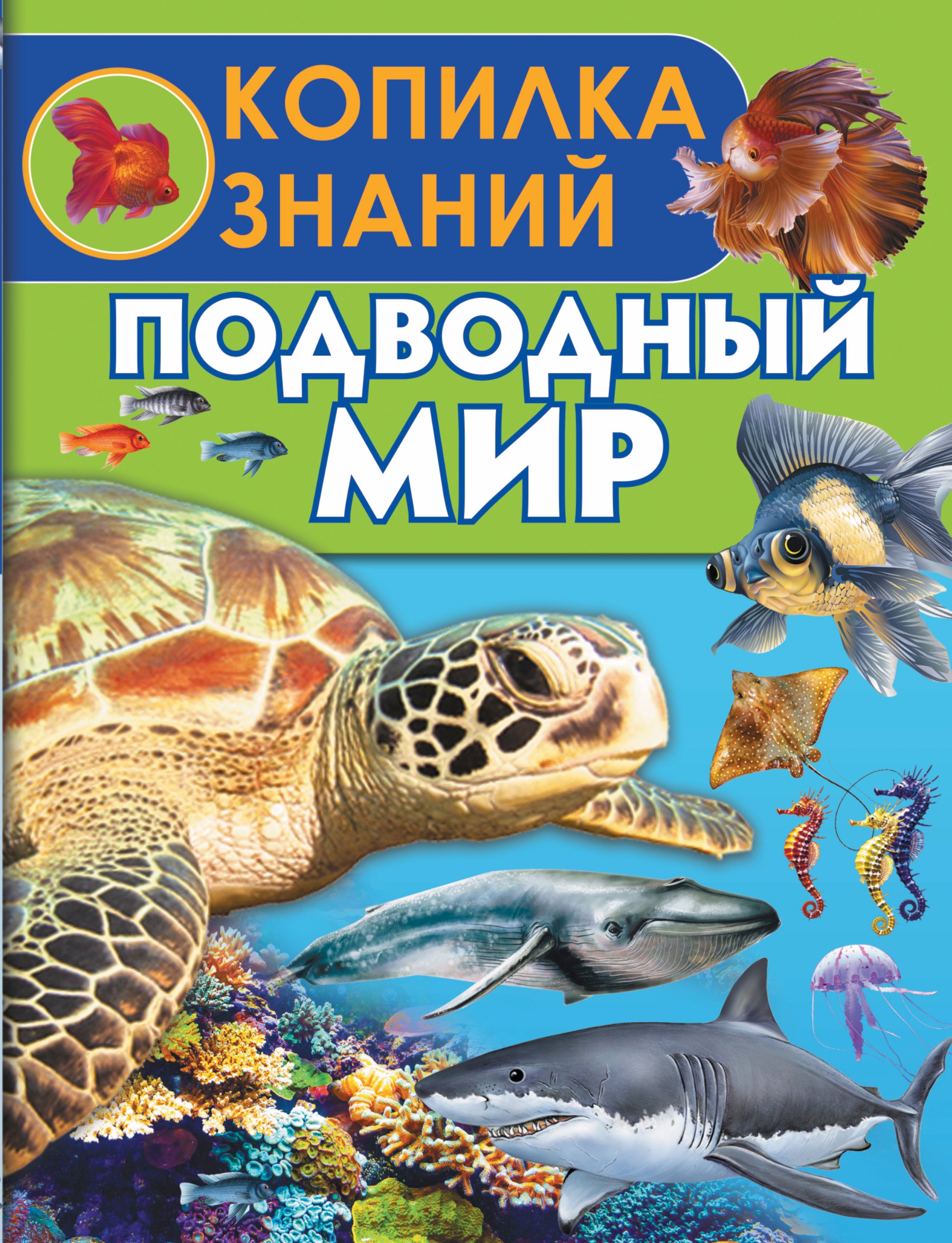 

Подводный мир