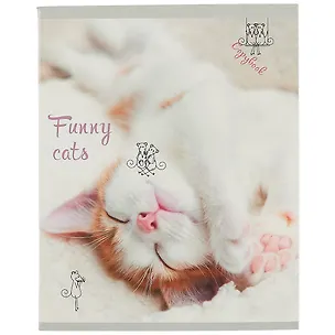 Тетрадь в клетку Unnika, "Пушистый хулиган", 48 листов, в ассортименте 252889