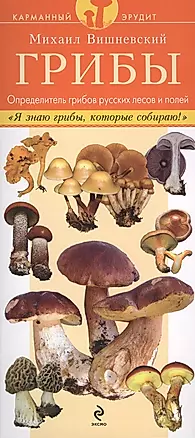 Грибы. Определитель грибов русских лесов и полей — 2410710 — 1