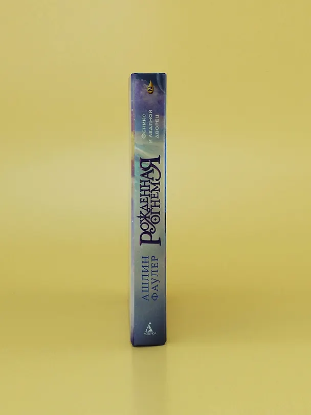 Книга Рожденная огнем. Книга 2. Феникс и ледяной дворец (Ашлин Фаулер) — 11