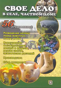 Свое дело в селе частном доме. 56 предложений.