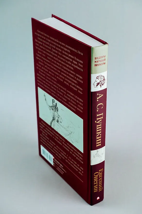 Книга Евгений Онегин (Александр Пушкин) — 7