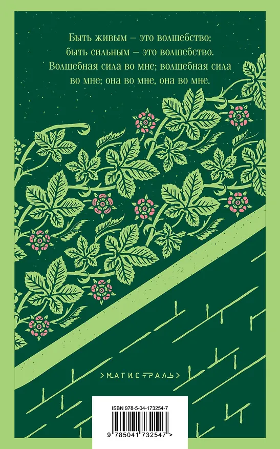 Книга Таинственный сад (Фрэнсис Элиза Ходжсон Бёрнетт) — 2