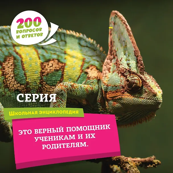 Книга Обо всём на свете: от египетских пирамид до самолётов () — 6