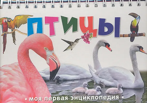 Книга Птицы () — 2