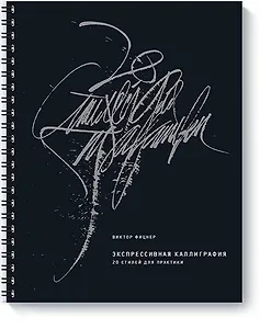 Экспрессивная каллиграфия. 20 стилей для практики