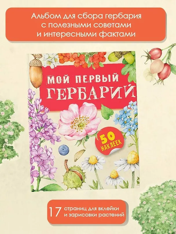 Книга Мой первый гербарий (Ксения Дудова) — 5