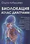 9785888753972ВЕЛИГОР Лобышева Биолокация. Атлас диаграмм. Методическое пособие для диагностики: органов дыхания, — 2536162 — 1