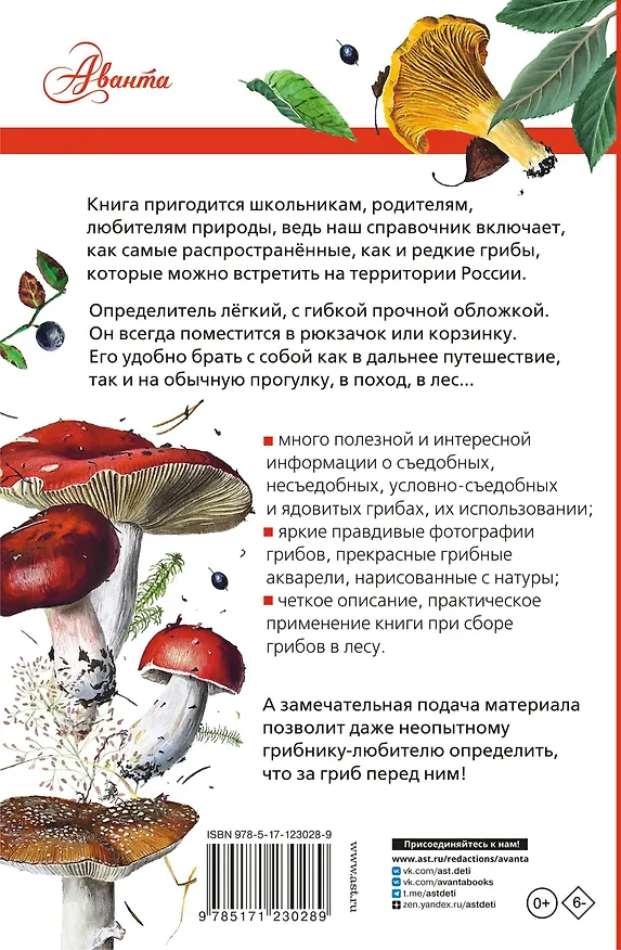 Книга Грибы России. Определитель (Станислав Кривошеев) — 2