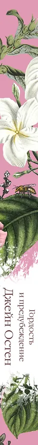 Книга Гордость и предубеждение (Джейн Остен) — 5