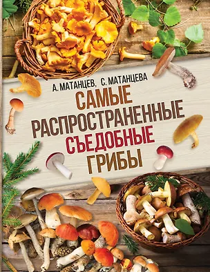 Книга Самые распространенные съедобные грибы (Светлана Матанцева, Александр Матанцев)
