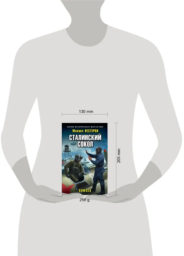 Книга Сталинский сокол. Комэск (Михаил Нестеров) — 5