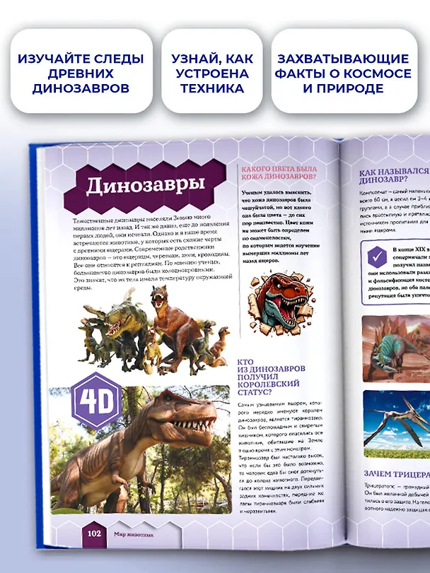 Книга Большая книга почему (Дарья Ермакович, Дмитрий Кошевар, Анна Спектор, Андрей Мерников, Вячеслав Ликсо, Елена Хомич) — 8