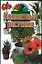 Комнатные растения: популярная энциклопедия — 100881 — 1