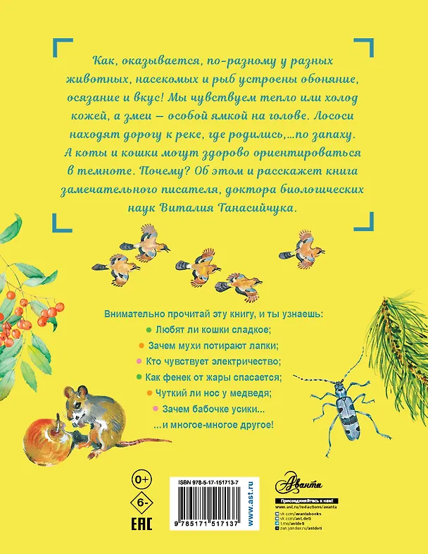 Книга Для чего коту усы? (Виталий Танасийчук) — 2