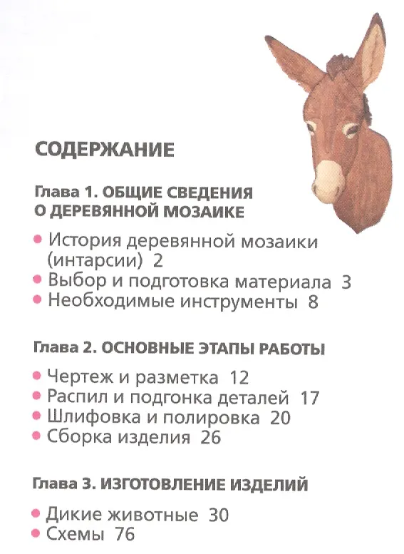 Книга Интарсия Выжигание по дереву 2тт. (компл. 2кн.) (упаковка) (мМастКлНД) Робертс () — 2