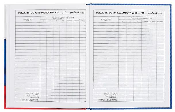 Дневник для средних и старших классов "Дневник российского школьника. 2 (25)" 3090506 — 6