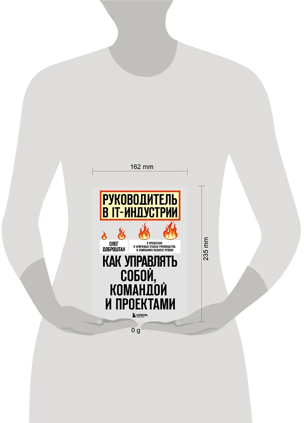 Книга Руководитель в IT-индустрии. Как управлять собой, командой и проектами (Олег Доброштан) — 8