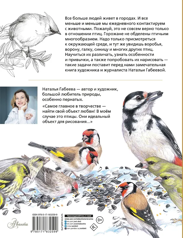 Книга Птицы в городе. 25 историй в фактах и рисунках (Наталья Габеева) — 2
