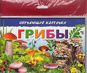 Грибы/европодвес