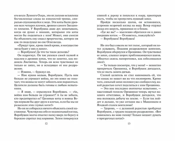Книга Отверженные (Эрин Хантер) — 6