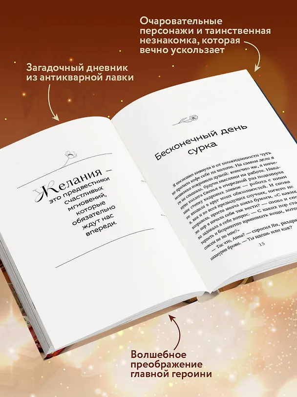 Книга Дневник из антикварной лавки. Всегда есть шанс переписать свою жизнь (Ванесса Гёкинг) — 7