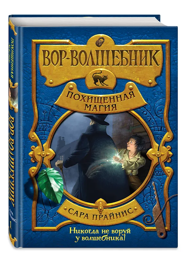 Книга Вор-волшебник. Похищенная магия (#1) (Сара Прайнис) — 4