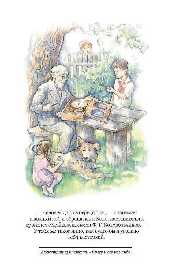 Книга Тимур и его команда (ил. О. Зубарева) (Аркадий Гайдар) — 14