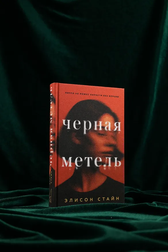 Книга Черная метель (Элисон Стайн) — 8