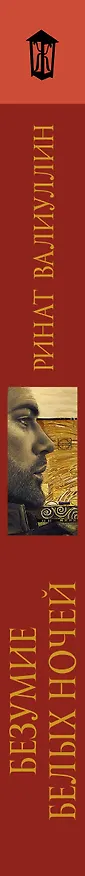 Книга Безумие белых ночей (Ринат Валиуллин) — 3
