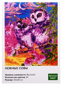Картина по номерам N007 Нежные совы 30х40