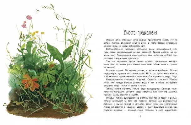 Книга Друзья моего детства (Георгий Скребицкий) — 4