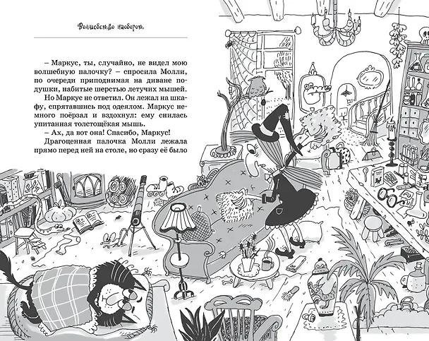 Книга Кот колдуньи Молли. Волшебство наоборот (Поль Бопэр) — 15