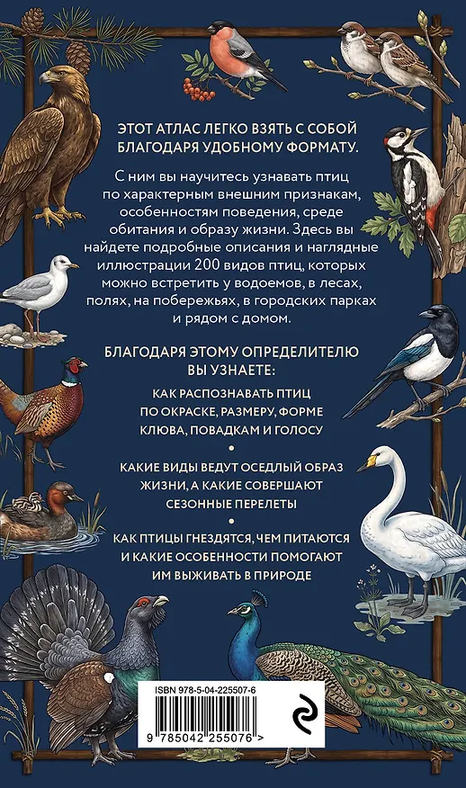 Книга Птицы. Карманный атлас-определитель (Николай Вереницын) — 2