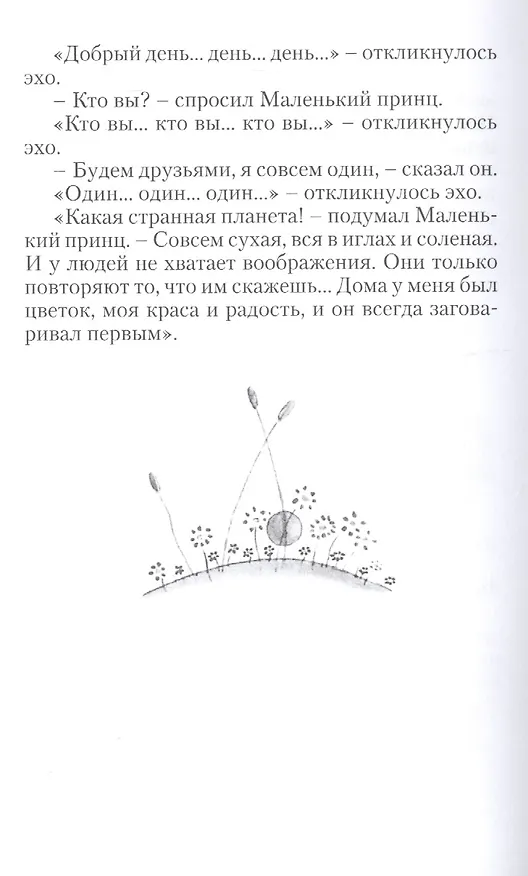 Книга Маленький принц (Антуан де Сент-Экзюпери) — 6